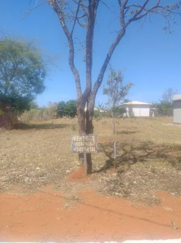 Lote3