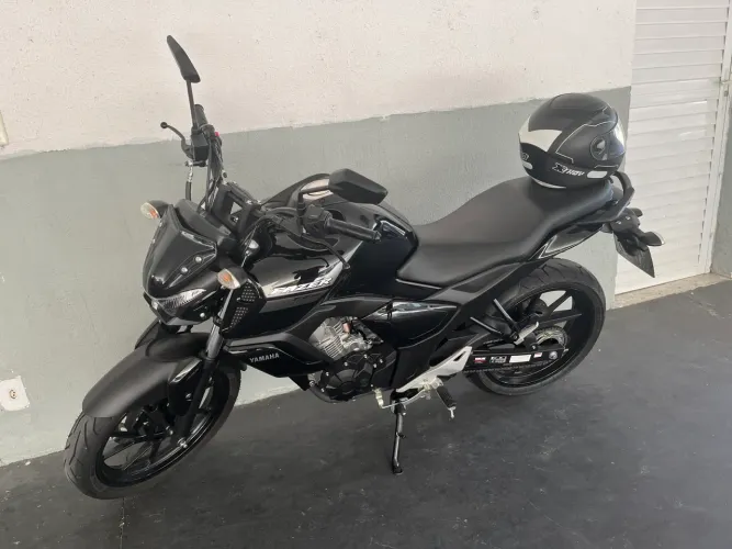 Fz15 2023