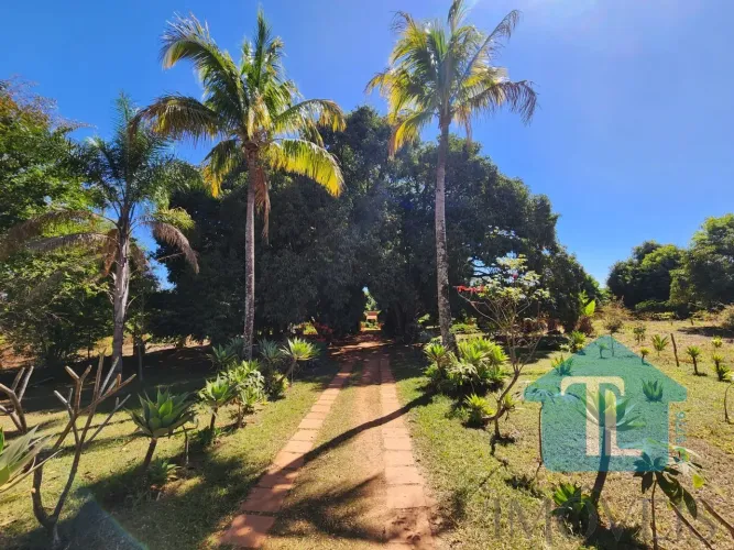 PONTE ALTA - AREA COM 80.000 M2 - ACEITO IMOVEL
