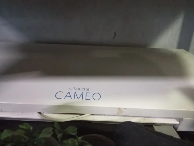 Cameo 3