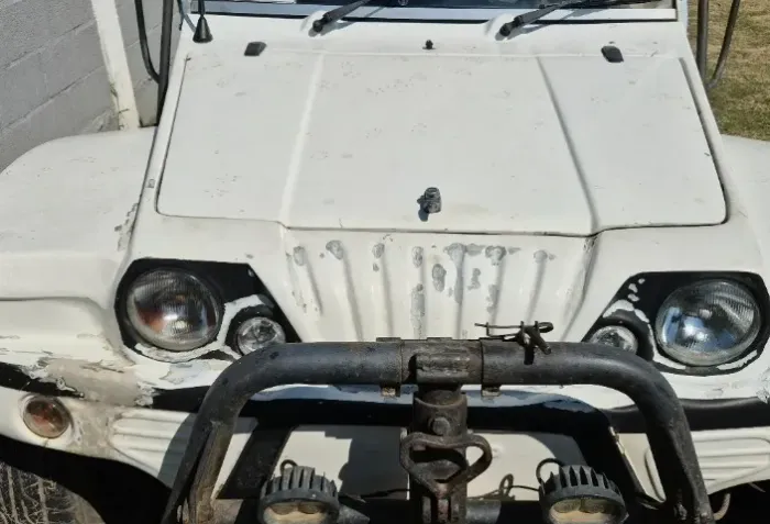 Volkswagen Buggy 1.6 8V Gasolina 2P Manual 1976