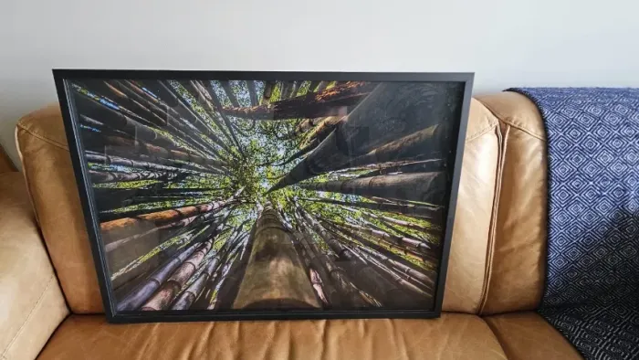 Quadro Decorativo Árvores - 92x35 cm
