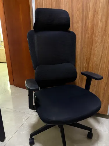 Cadeira de Escritório Dr. Office