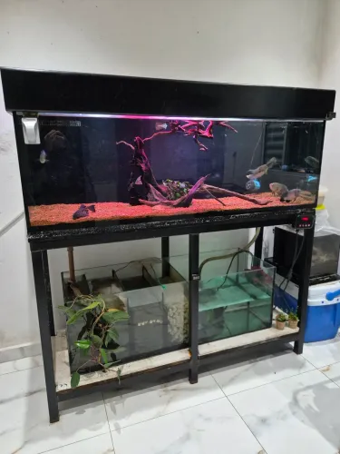 Aquario grande