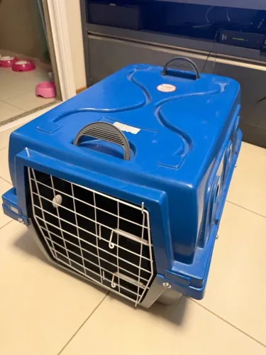 Caixa de transporte animais aviao