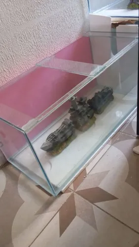 Aquário novo 