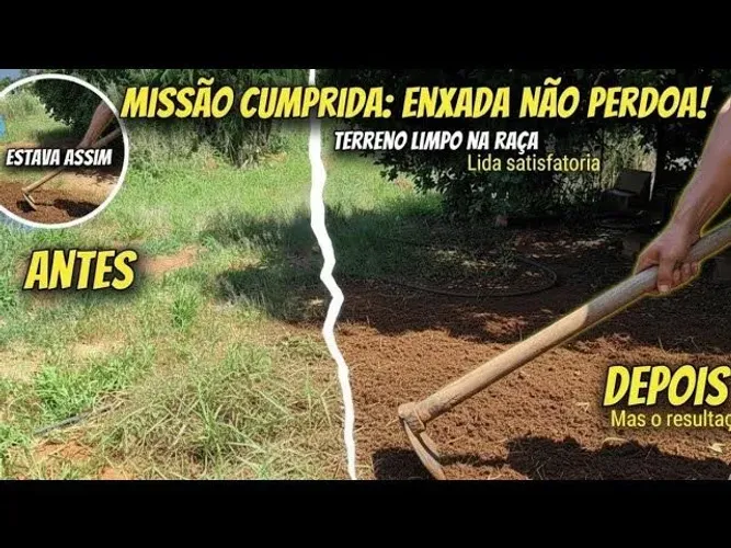 Limpeza de lotes 
