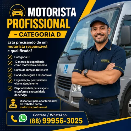 Motorista categoria D