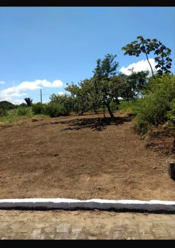 Terreno em Bananeiras oportunidade única.