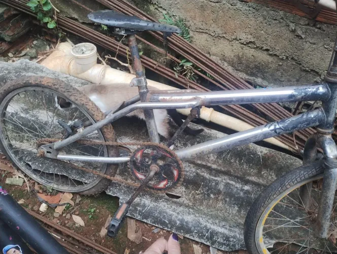 2 bicicleta