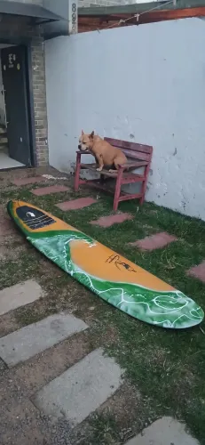 Long Board Surf