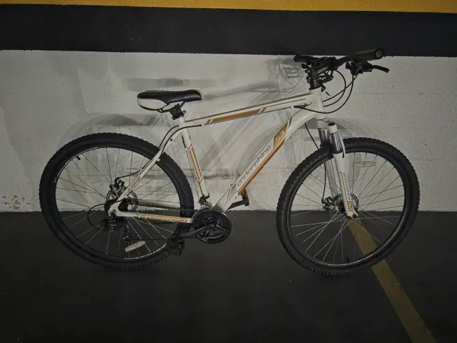 Bicicleta Gonew Endorphine 5.3