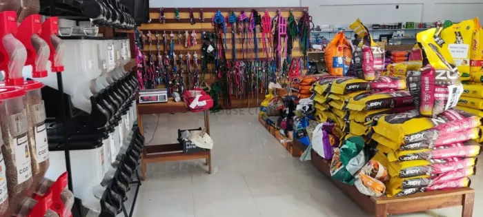 Prédio com loja montada no ramo de rações, produtos e medicamentos em geral para