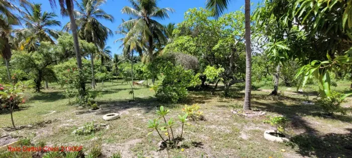 Casa de condomínio para venda possui 30600 metros quadrados em Busca Vida (Abrantes) - Cam