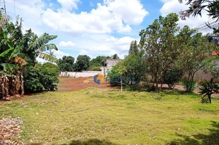 (Aceita troca) Terreno à venda, 980 m² por R$ 590.000 - Vila Morangueira - Maringá/PR