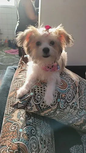 Lhasa