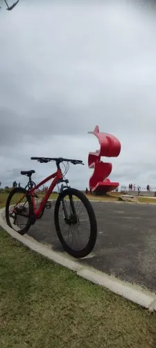 Bike aro 29