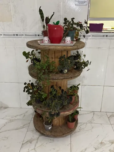 Decoração plantas