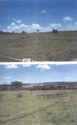 Venda Fazenda AREA RURAL DE UBERLANDIA