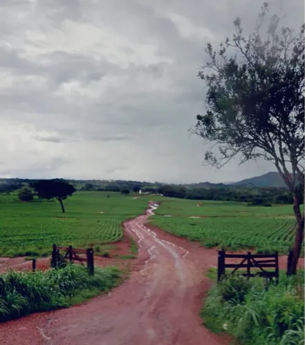 Fazenda de 99 alqueires região de água fria-Go 