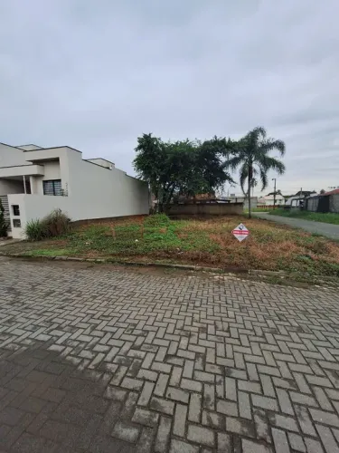 Terreno em Balneário Piçarras: 250m² Aterrado em Rua Pavimentada