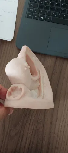 Vendo torso pelve feminina em silicone