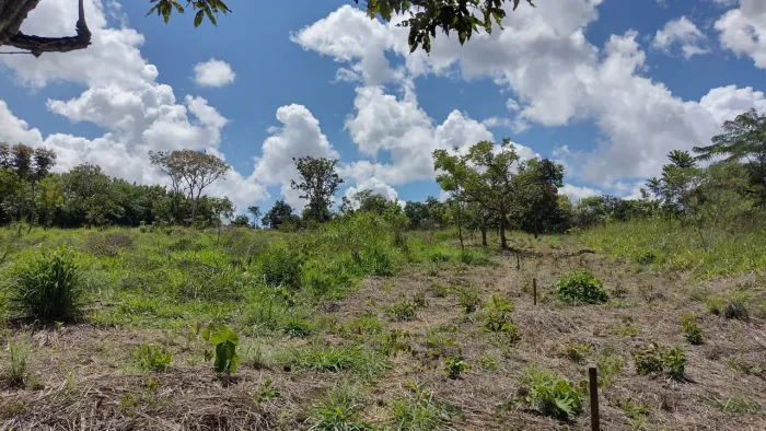 RB BRANDÃO,CRECI15635 8aReguao DF MANSÕES DE RECREIO WSTRELA DALVA VIII ZONA URBANA,LUZIA 