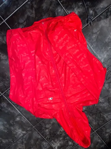 ? BLUSA LACOSTE ORIGINAL - COLEÇÃO MADE IN FRANCE ? ? Veste P, M e até G (modelagem 