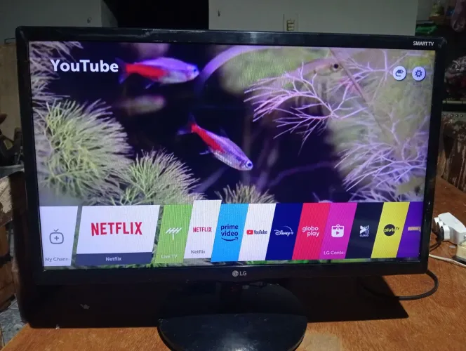 Tv Smart LG Web os 24pl