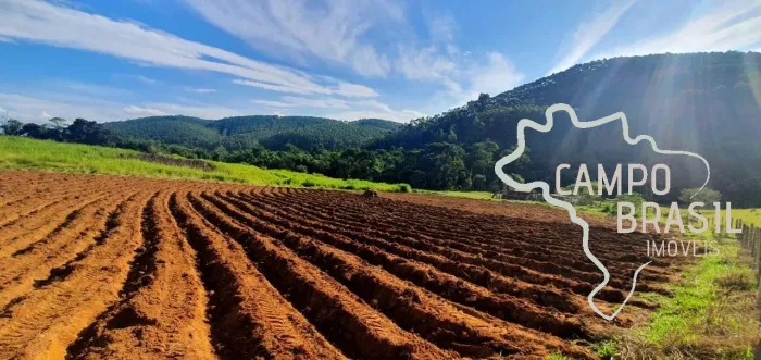 Sítio de dupla aptidão com 9 alqueires 100% tratorável em Jambeiro! Com muita água!!!
