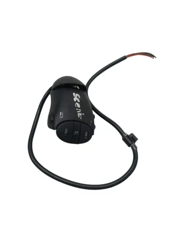 Comando Som Volante Renault Scenic 2002 2003 2004 2005
