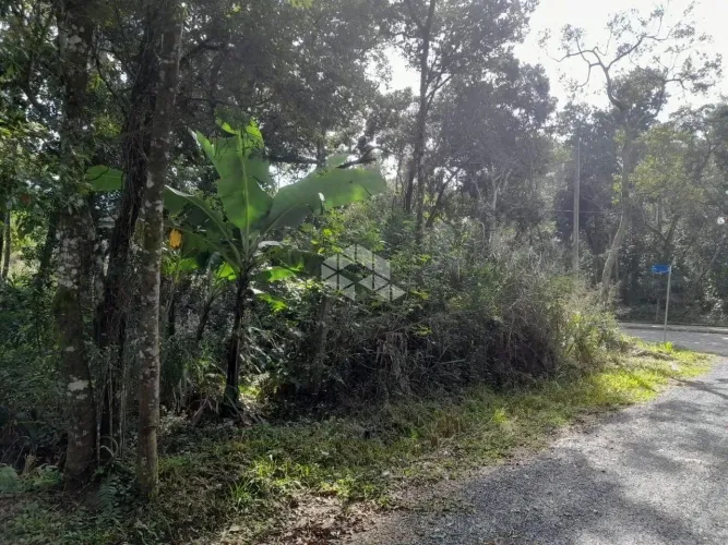 Terreno em Canto Grande/Mariscal Bombinhas SC