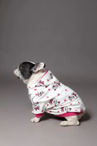 Roupa para cachorro - Moletinho Ursinha