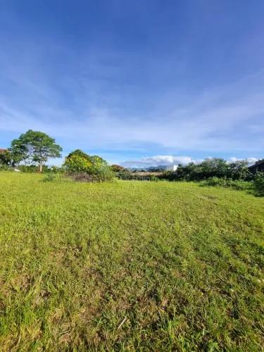 Terreno à venda no bairro Praia do Rosa - Imbituba/SC
