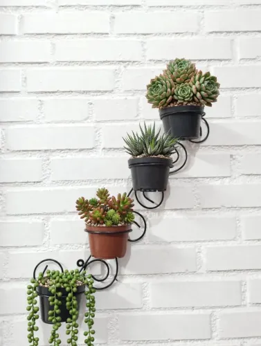 Suporte para plantas