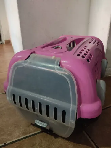 Suporte pra viagem do pet