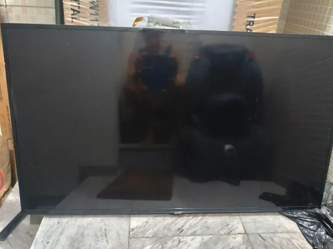 Televisão