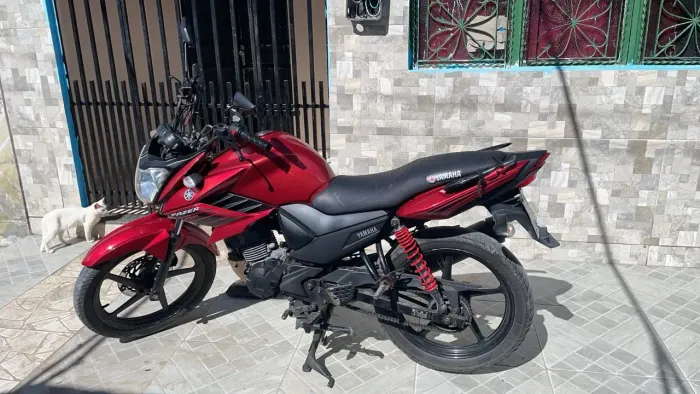 Moto pra interior
