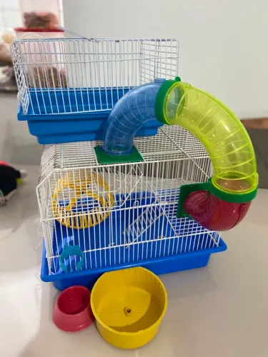 Gaiola hamster 