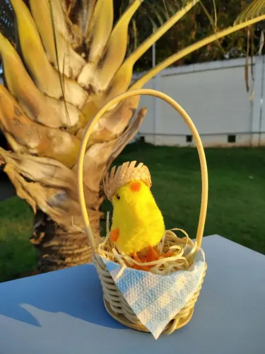 Cesta dia das crianças