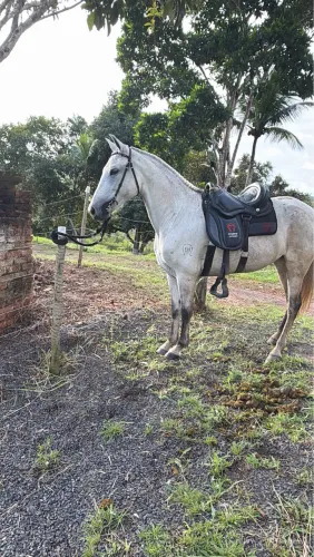 Égua MM registrada