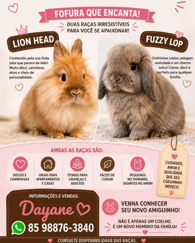 Coelho Mine fuzzy lop 