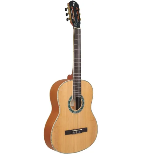 Violão tagima parary 