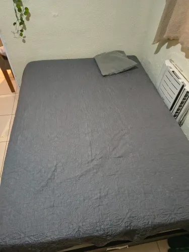 Cama Gazin Love Story