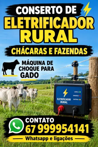 Conserto de Eletrificador rural aparelho pra gado