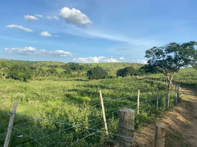 2 Alqueires de Terra à Venda - Ótima Localização | Oportunidade!