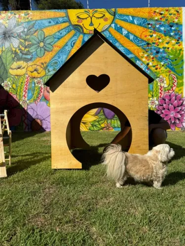 Vendo Casinha Infantil