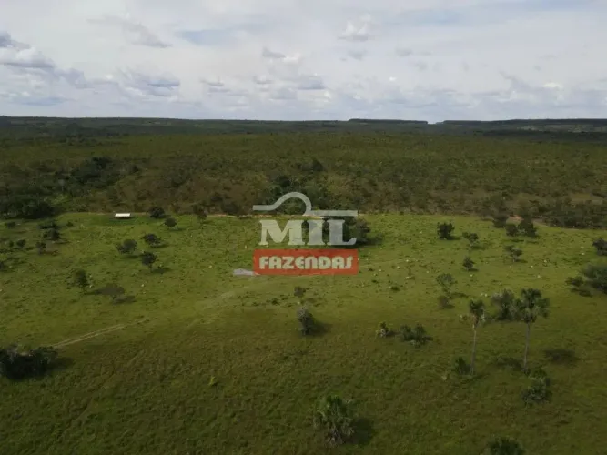 Fazenda 370 Alqueires (1.790 Hectares) Rio Sono - TO