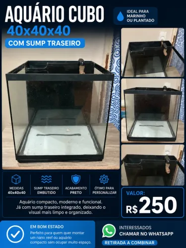 Aquário Cubo 40x40x40 com sump traseiro