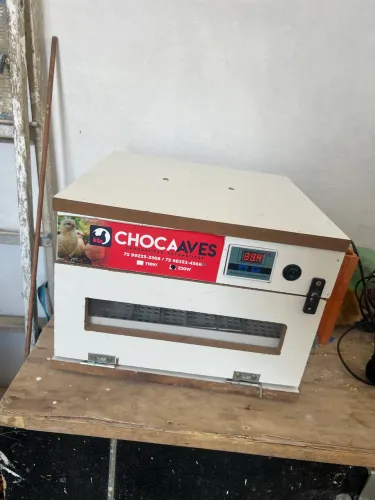 Chocadeira 